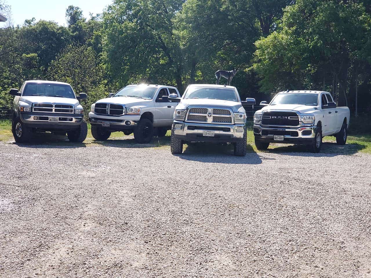 Four Ram trucks parked outside.