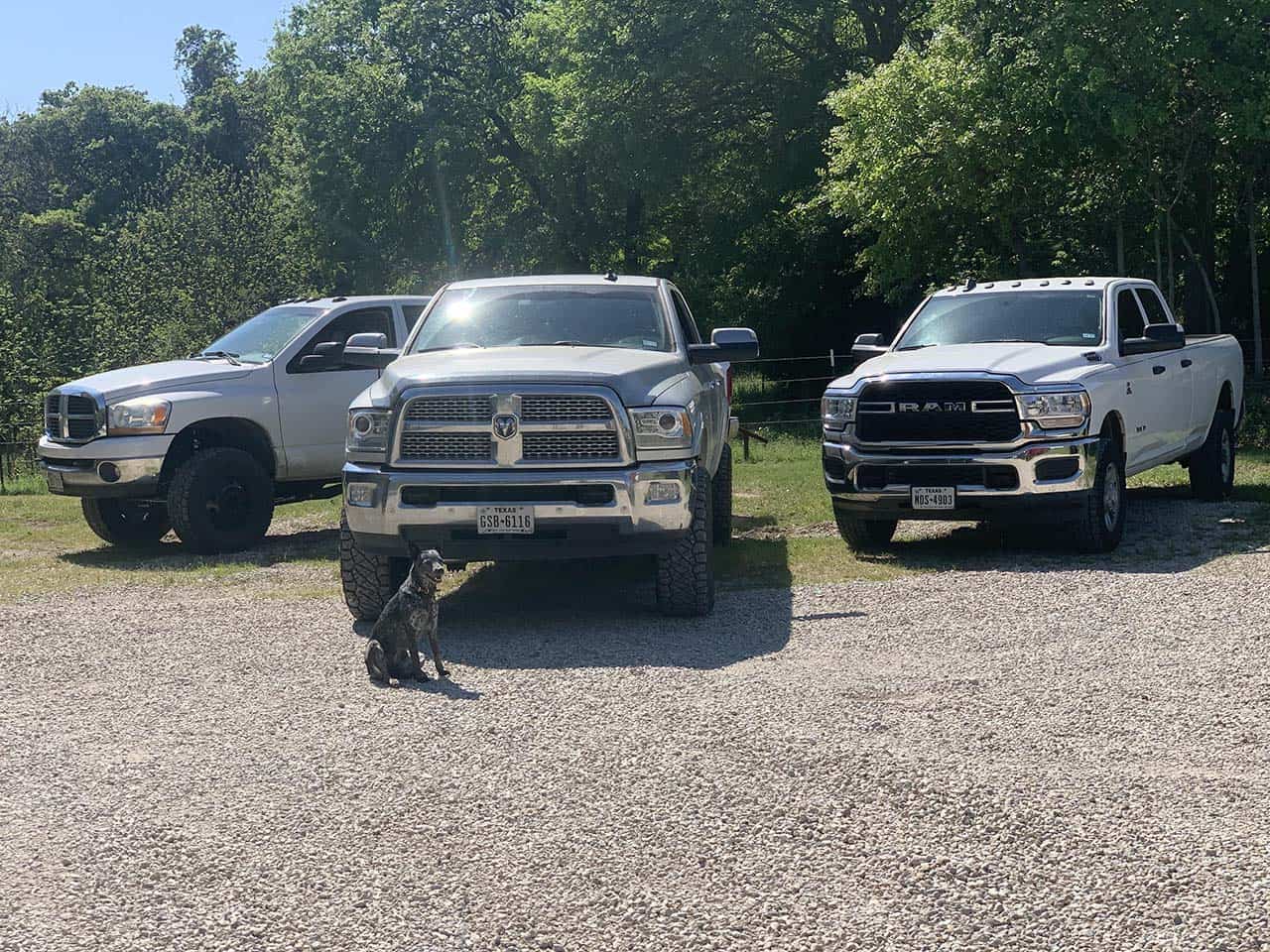 Three Ram trucks parked outside.