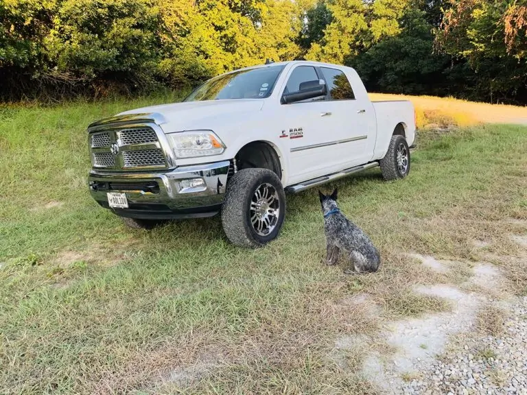 Ram Cummins engine rebuild